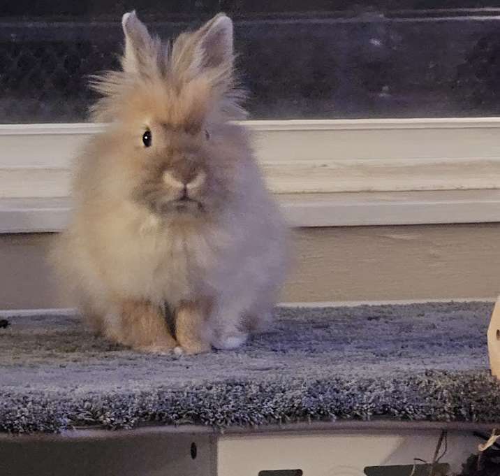 Photo of Charlie
