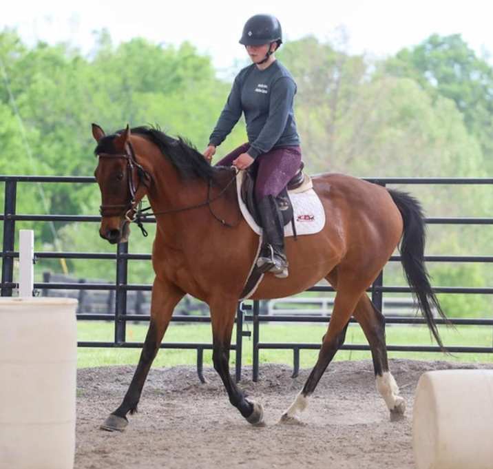 Photo of Dixieland Daisy