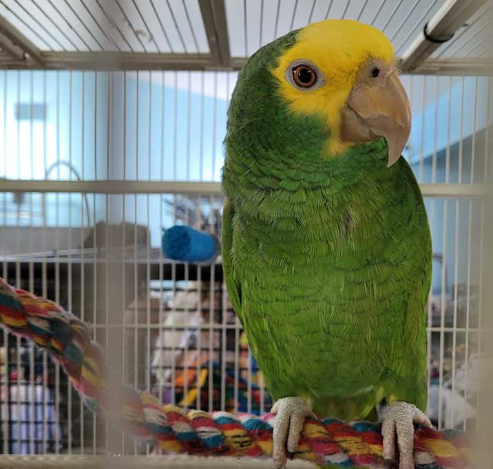 Photo of Young Charlie