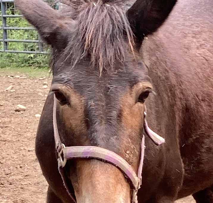 Photo of Trudy