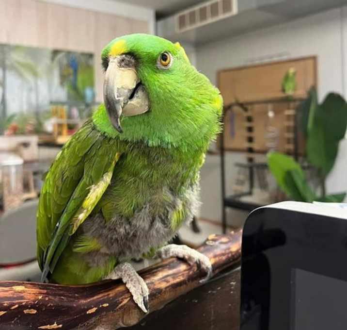 Photo of Arthur