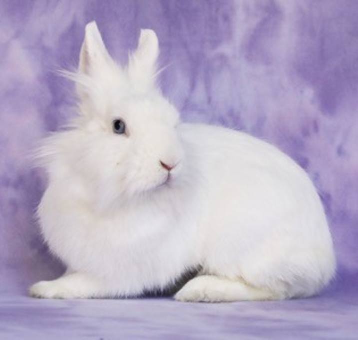 Photo of Aubriella aka Linnea Celeste