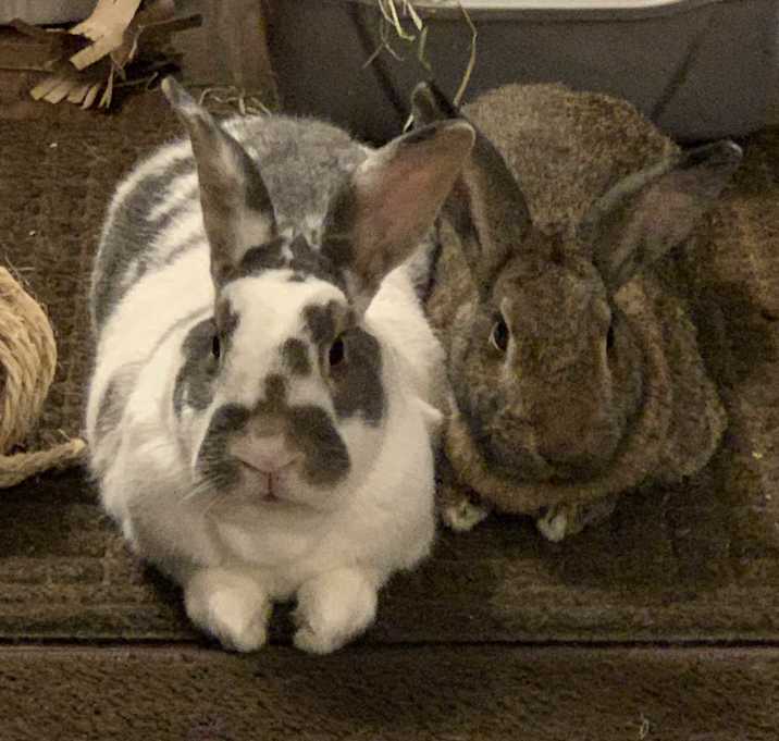 Photo of Bonnie & Charlie