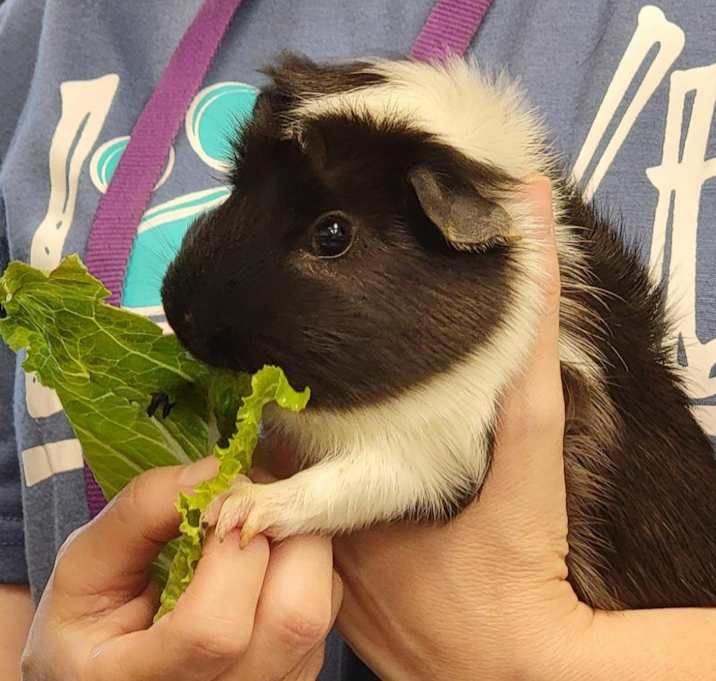 Photo of Bakari