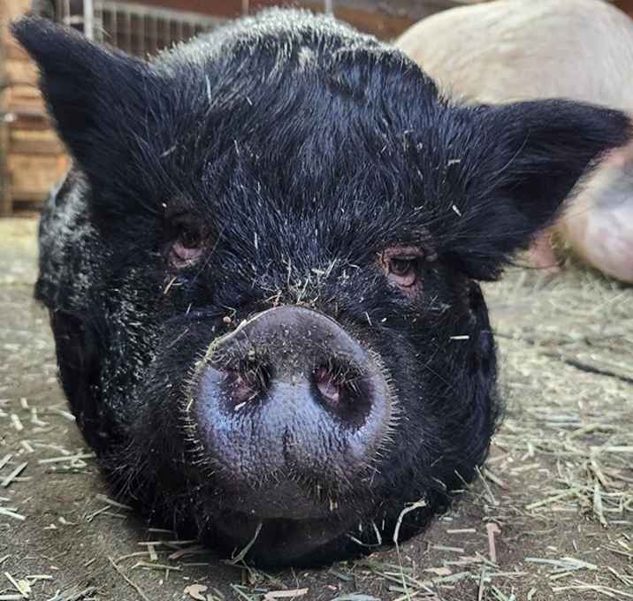 Photo of Amy