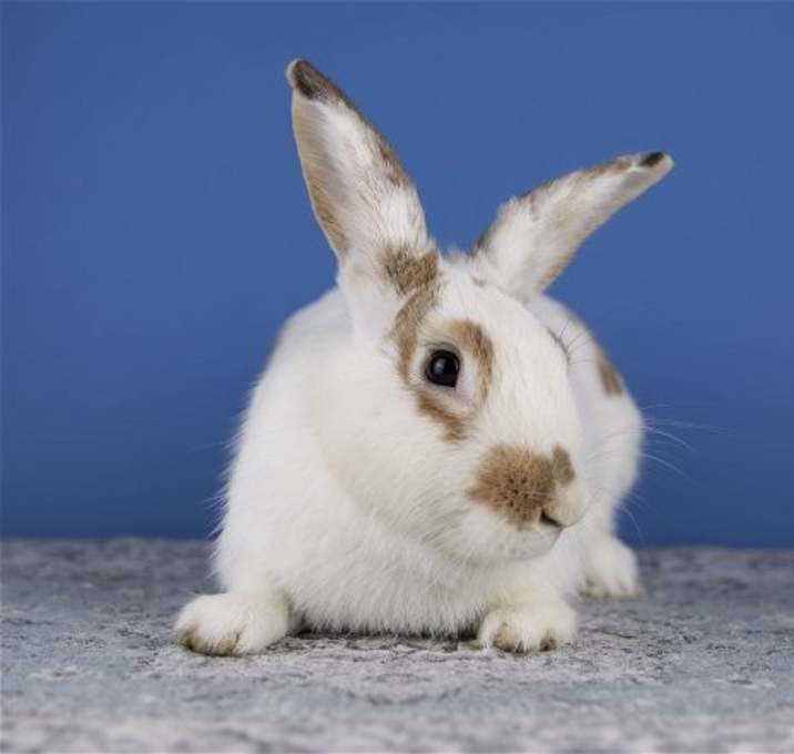 Photo of Arthur