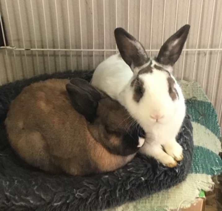 Photo of Melba & Mel