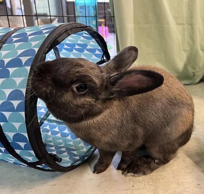 Photo of Blue