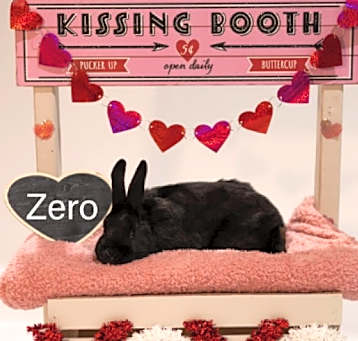 Photo of Zero