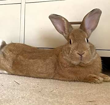Photo of Benjamin