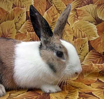 Photo of Cindy