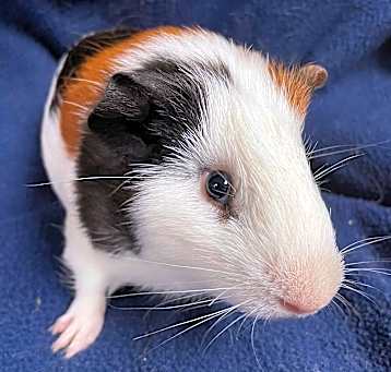 Photo of Larry