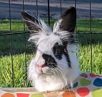 Photo of Wednesday