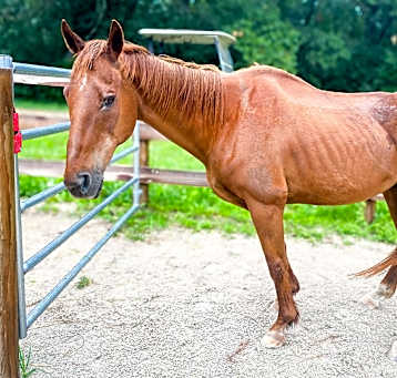 Photo of Gabriel