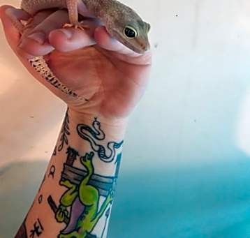 Photo of Rascal