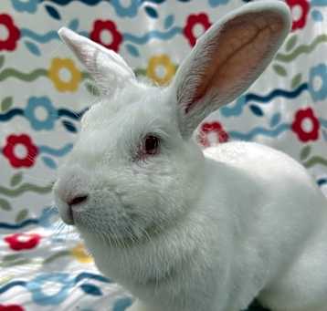 Photo of Dagny