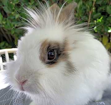 Photo of Holly
