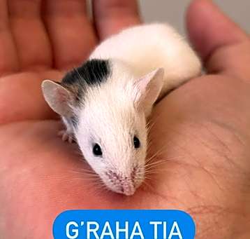 Photo of G'Raha Tia