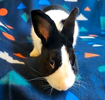 Photo of Fred
