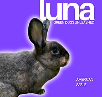 Photo of Luna