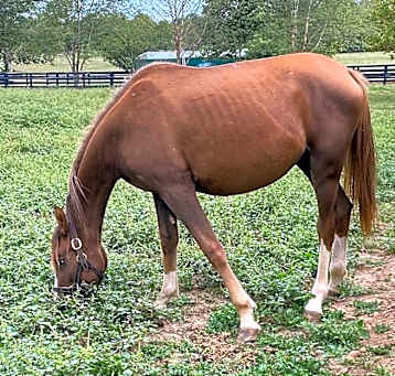Photo of Quinn