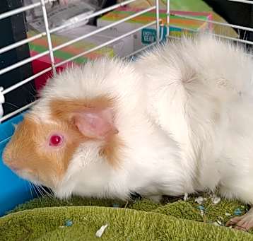 Photo of Luckyk