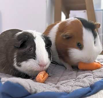 Photo of Motaz & Baby Zay