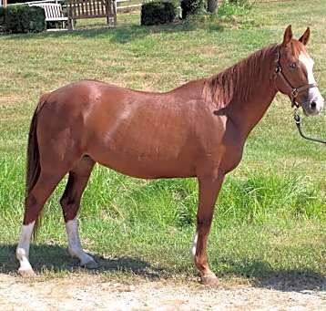 Photo of PRALINE