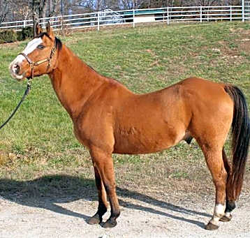 Photo of RUFIO