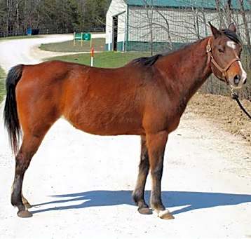 Photo of MABLE