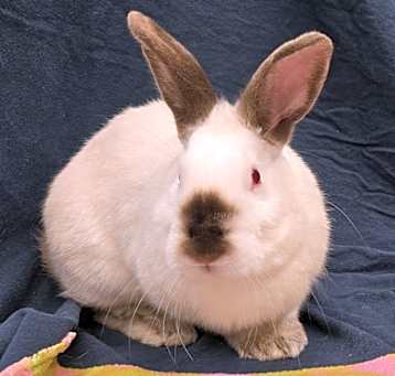 Photo of Noelle