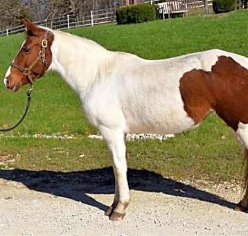 Photo of GEMINI