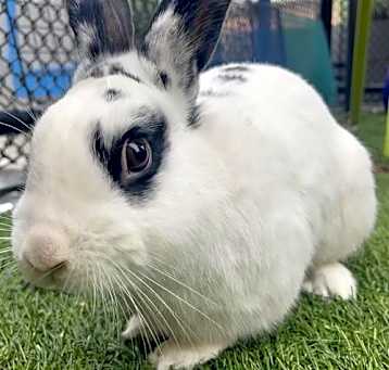 Photo of HAPPY