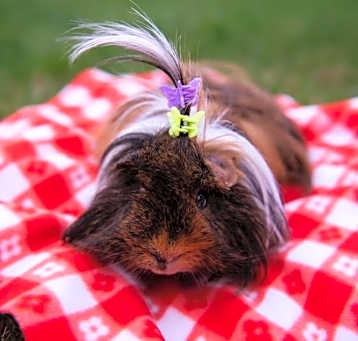 Photo of Billy
