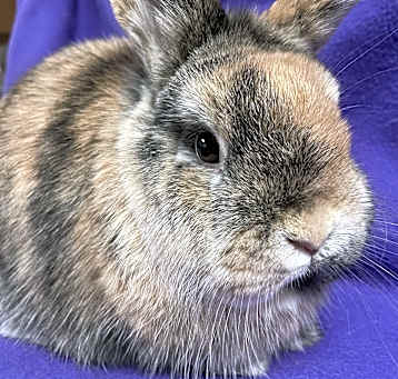 Photo of Elphaba