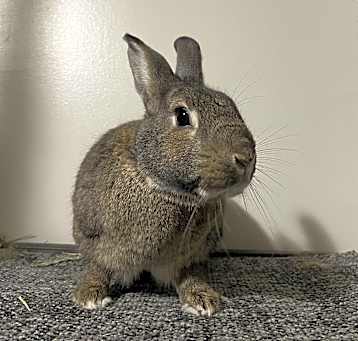 Photo of Quincy