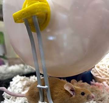 Photo of Stuart