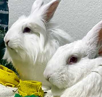 Photo of Kasper and Kyla