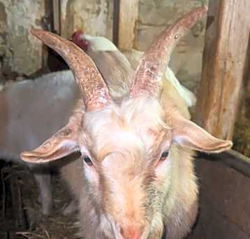 Photo of Gary