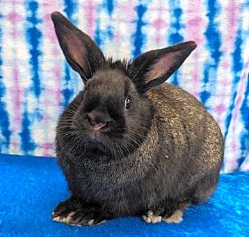 Photo of Edgar