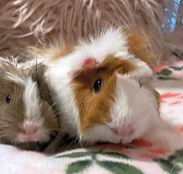 Photo of Holly & Noelle