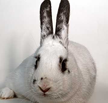 Photo of Lady Mayor