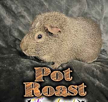Photo of Pot Roast