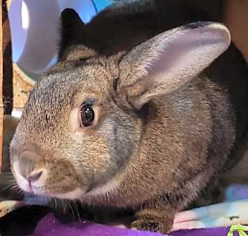 Photo of Holly