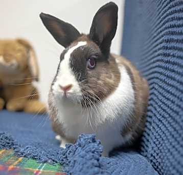 Photo of Boots