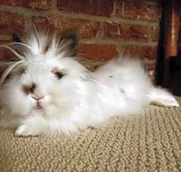 Photo of Janet