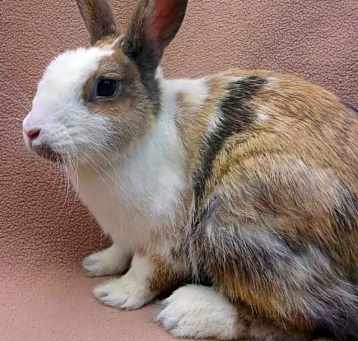 Photo of MAMA