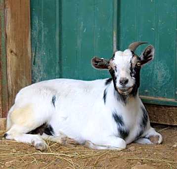 Photo of WENDY