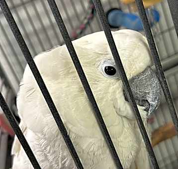 Photo of Casper