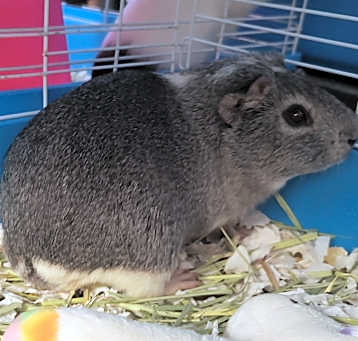 Photo of Lunadell